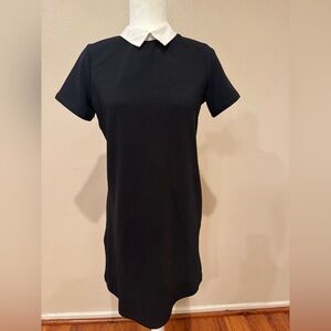 Zara Black Dress with White Collar